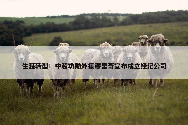 生涯转型！中超功勋外援穆里奇宣布成立经纪公司