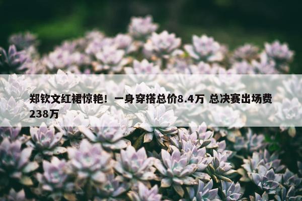 郑钦文红裙惊艳！一身穿搭总价8.4万 总决赛出场费238万