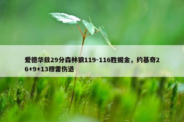 爱德华兹29分森林狼119-116胜掘金，约基奇26+9+13穆雷伤退