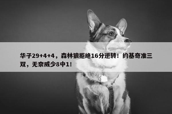 华子29+4+4，森林狼拒绝16分逆转！约基奇准三双，无奈威少8中1！