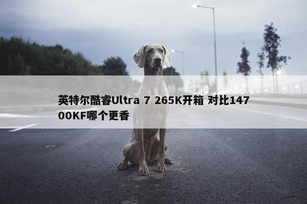 英特尔酷睿Ultra 7 265K开箱 对比14700KF哪个更香