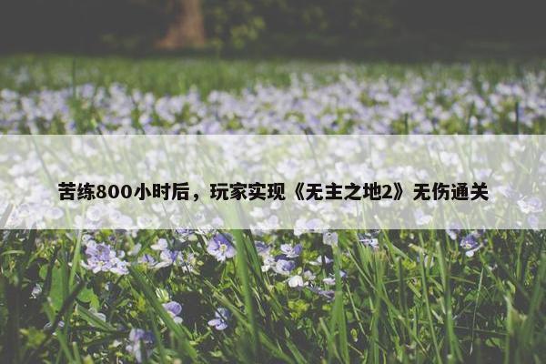 苦练800小时后，玩家实现《无主之地2》无伤通关