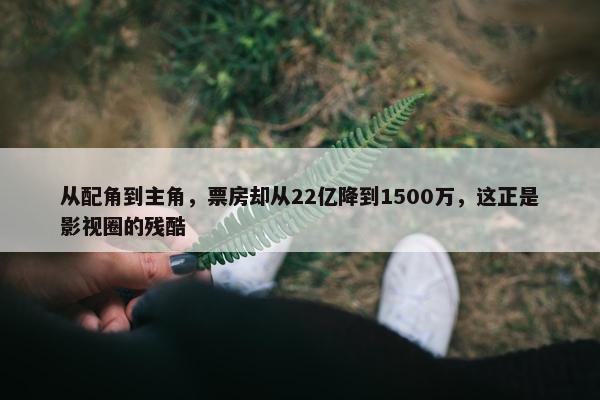 从配角到主角，票房却从22亿降到1500万，这正是影视圈的残酷