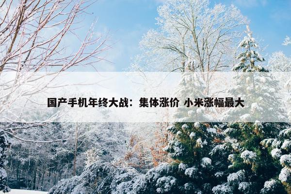 国产手机年终大战：集体涨价 小米涨幅最大